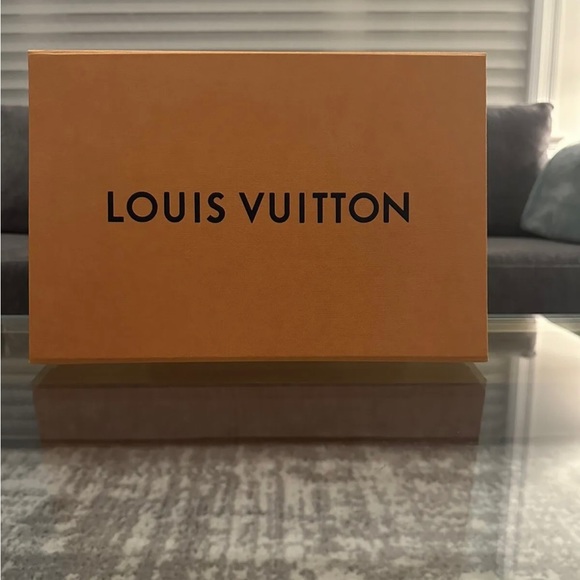 BRAND NEW LIMITED EDITION Louis Vuitton Christmas 2022 Pochette Felicie SoHo - Picture 8 of 8